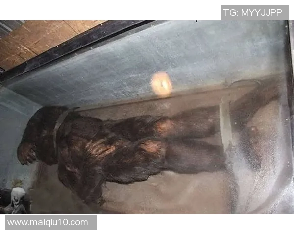 猿人与冰人对决史前智慧与生存技能的较量与启示